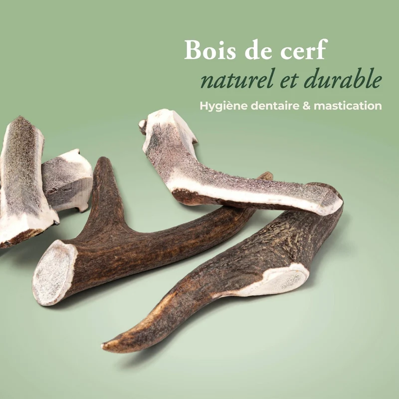 Pack mastication : l'occupation naturelle (Petit/Moyen)