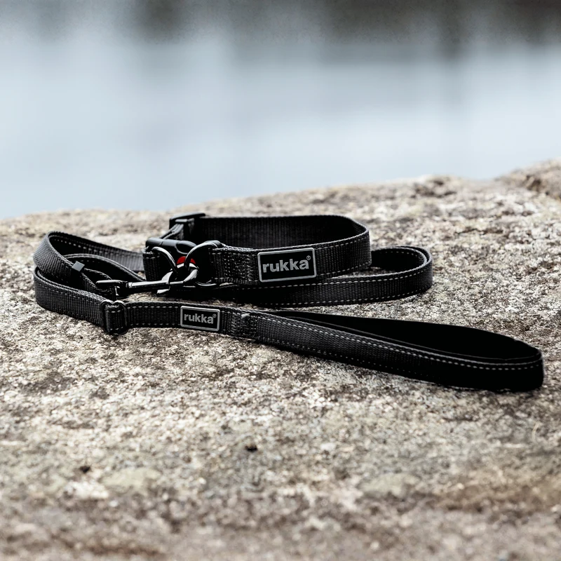 Collier + Laisse noir