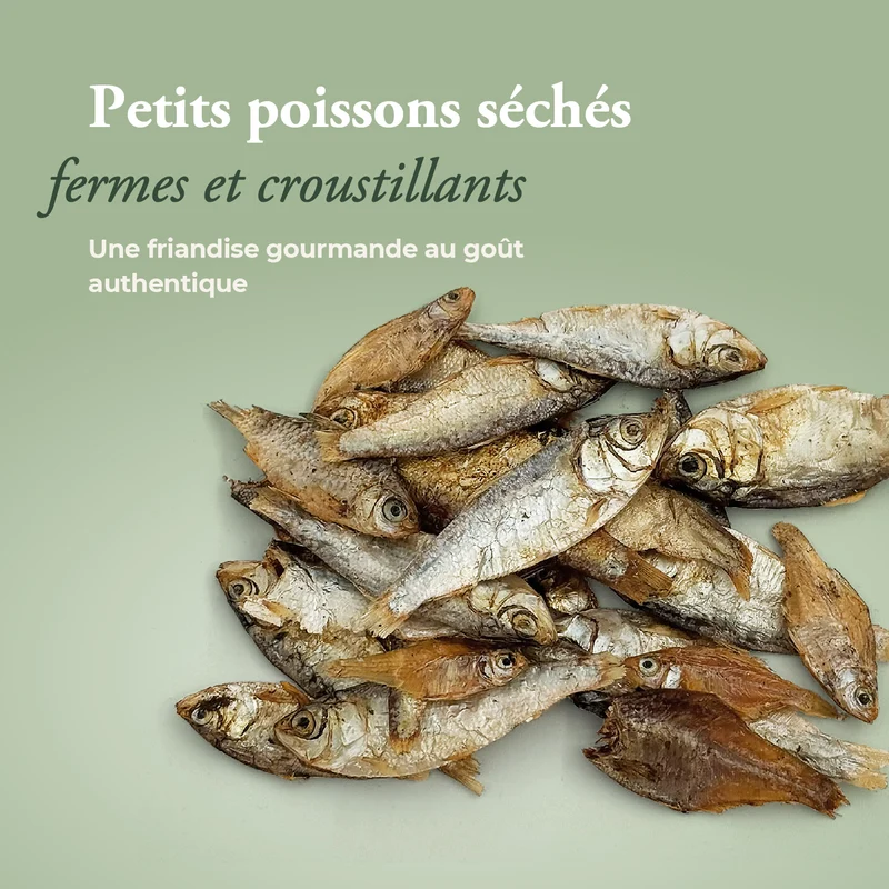 Petits poissons séchés