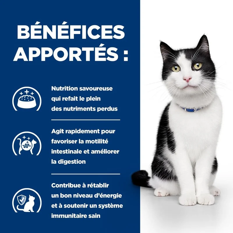 Hill's Prescription Diet i/d Digestive Care en sachets - pâtée chat