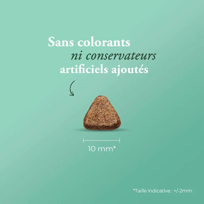 FLAVOUR OF FARM