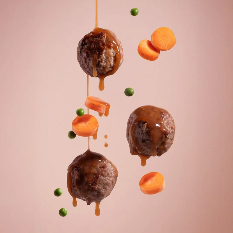 MEATBALLS OCEAN WONDERS CHAT