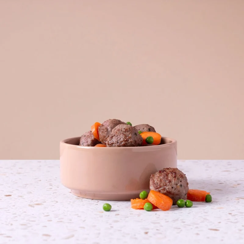 MEATBALLS OCEAN WONDERS CHAT