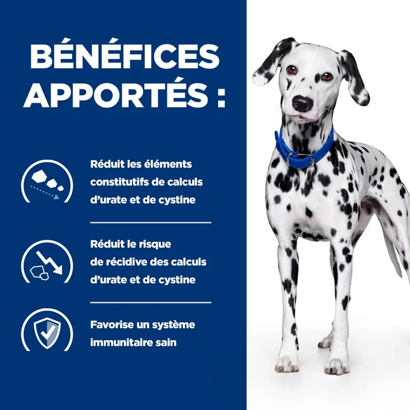 Hill's Prescription Diet u/d Urinary Care - croquettes chien