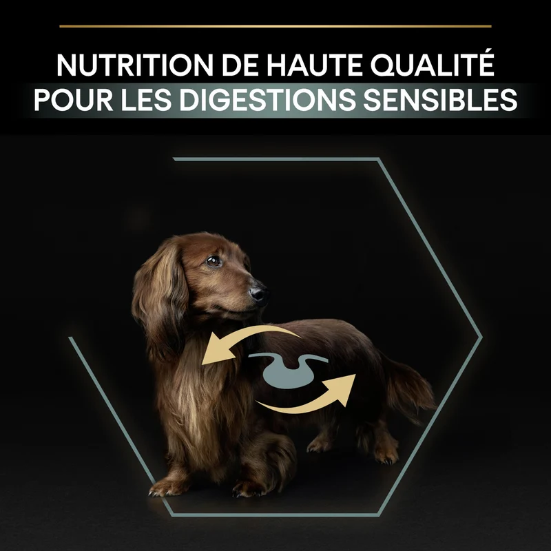Pro Plan Sensitive Digestion No Grain Small & Mini Adult à la dinde - croquettes chien