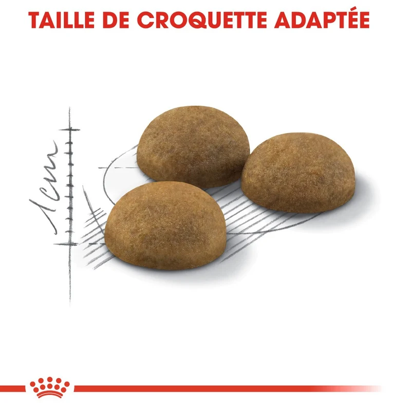 Royal Canin Indoor Long Hair - croquettes chat