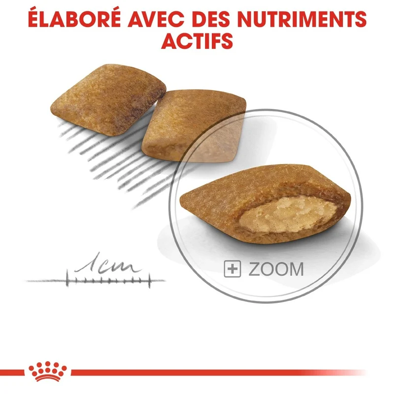 Royal Canin Mini Exigent - croquettes chien