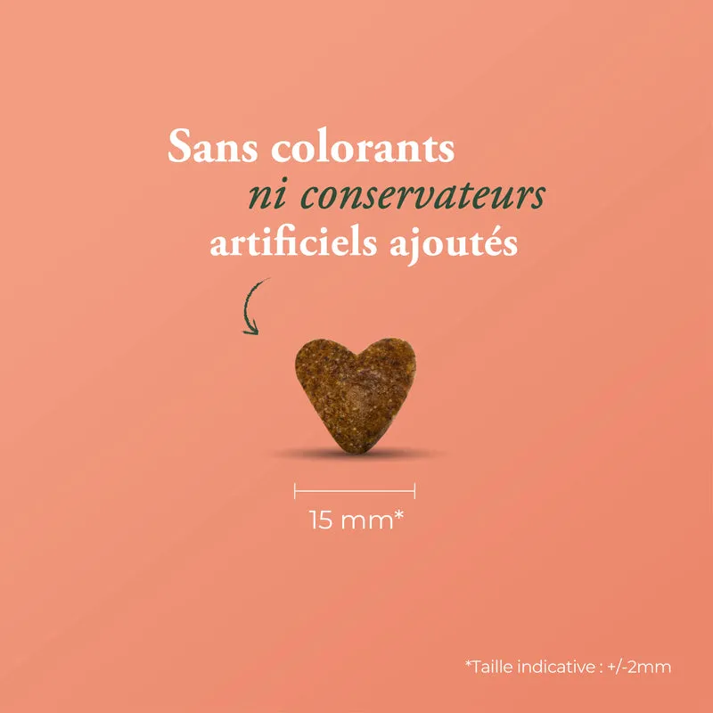 LA BISTROCOCOTTE SANS CÉRÉALES