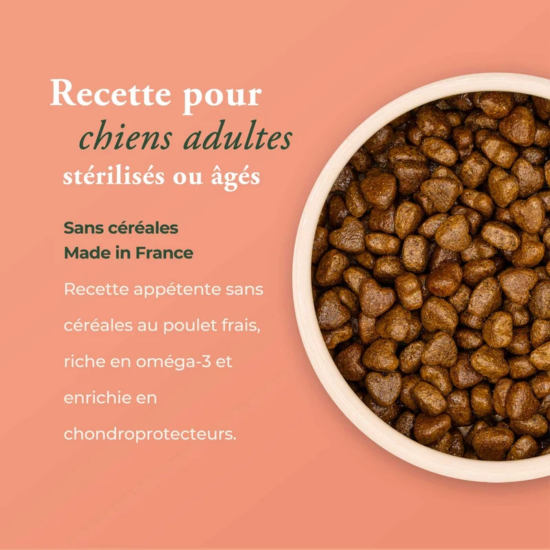LA BISTROCOCOTTE SANS CÉRÉALES
