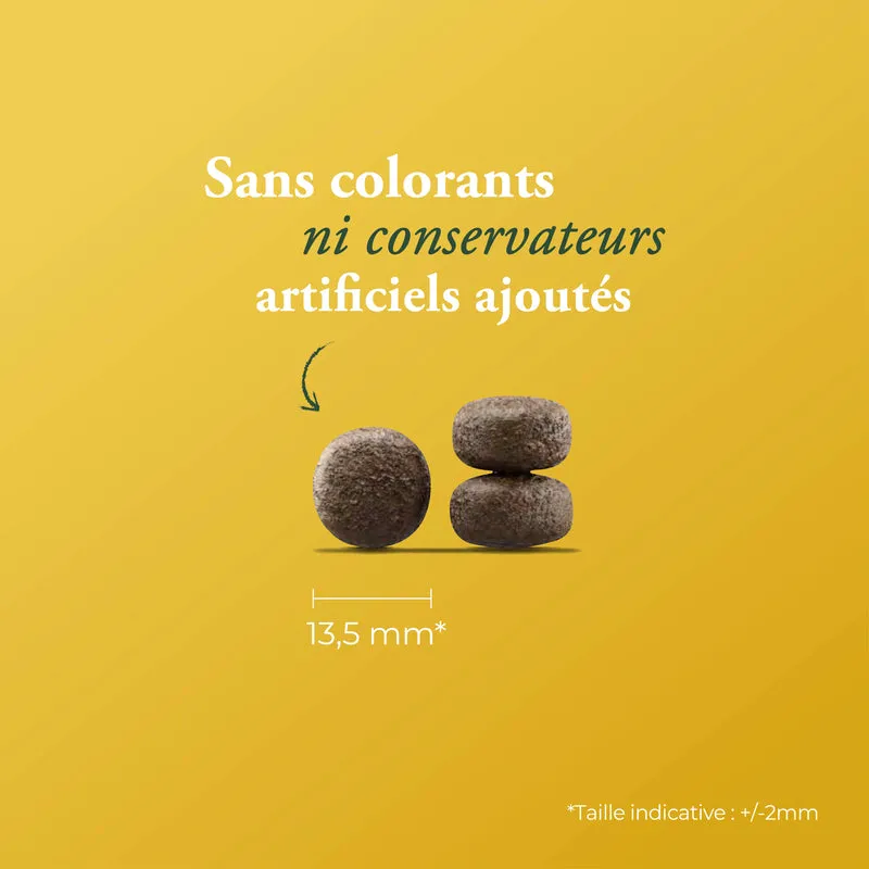HELP SURPOIDS & DIABÈTE