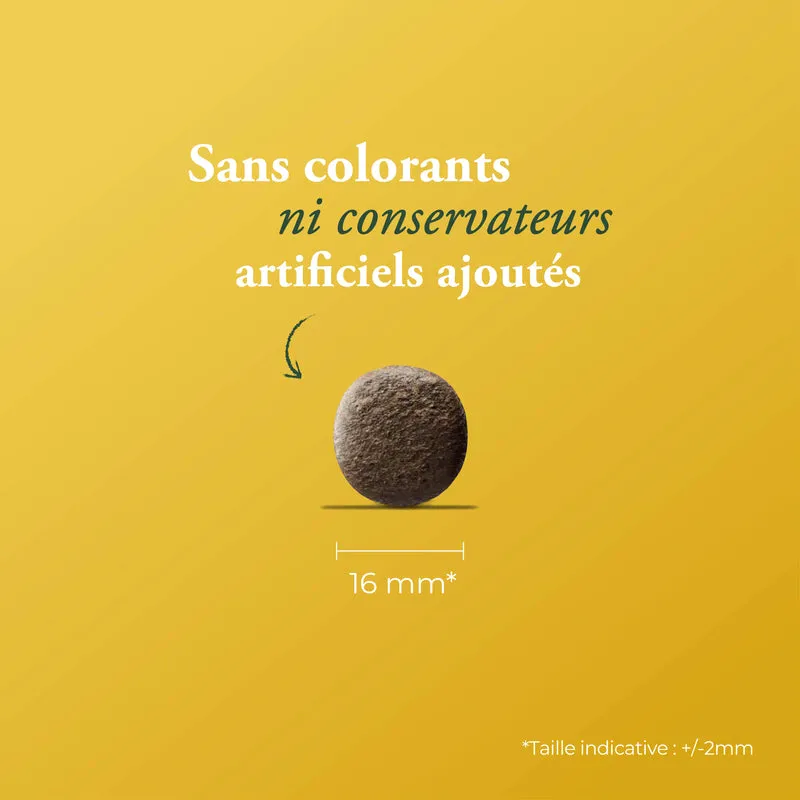 HELP HYPOALLERGÉNIQUE