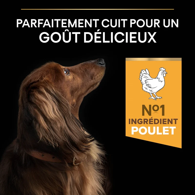 Pro Plan Light/Sterilised Small & Mini Adult au poulet - croquettes chien