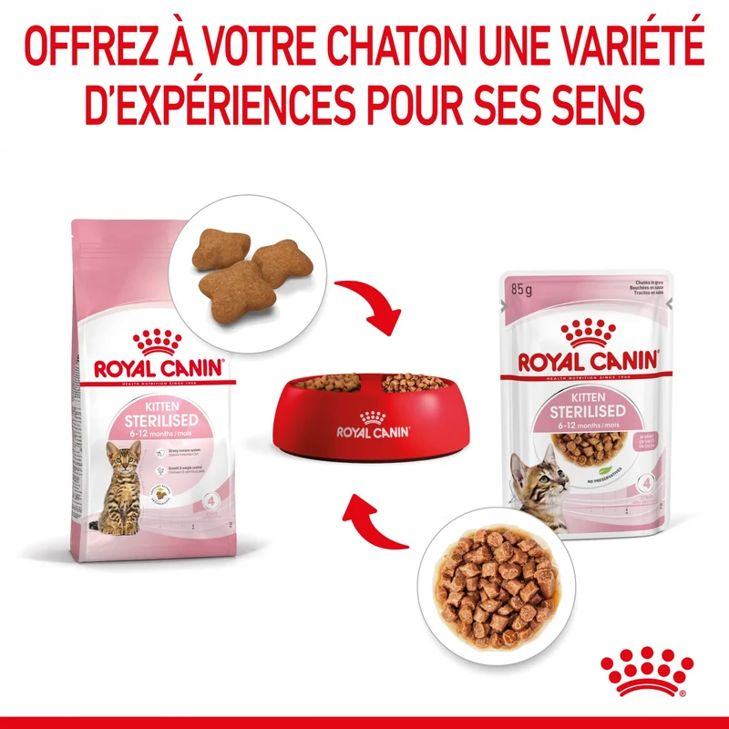 Royal Canin Kitten Sterilised gelée et sauce - pâtée chaton