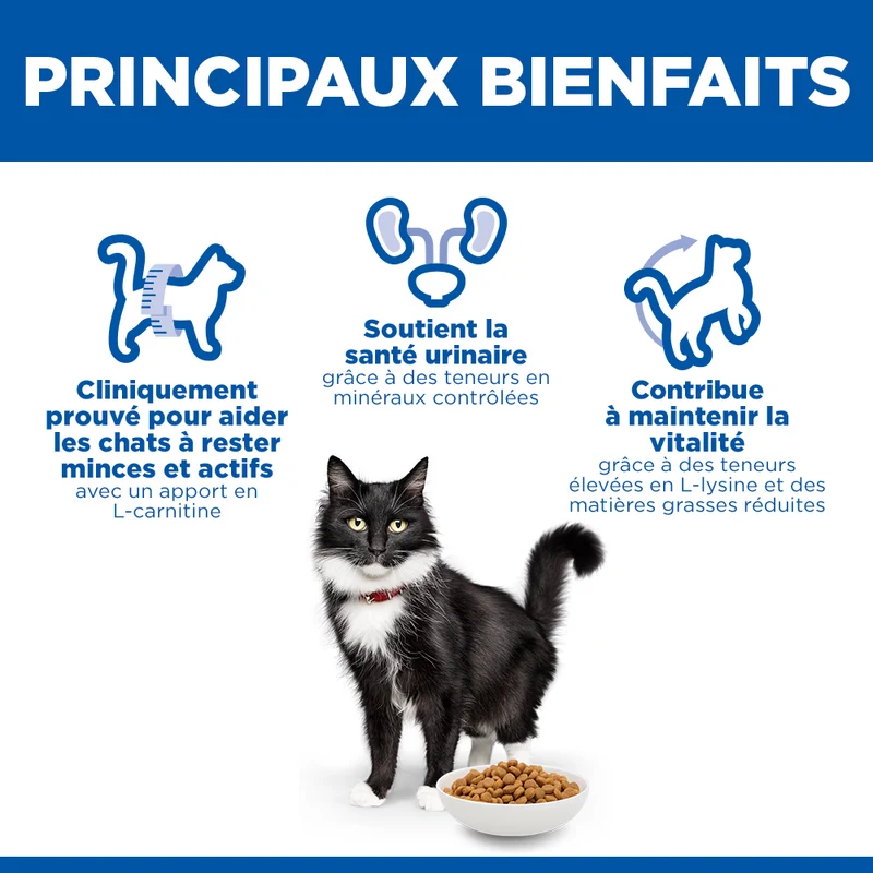 Hill's Science Plan Mature Adult 7+ Sterilised au poulet - croquettes chat