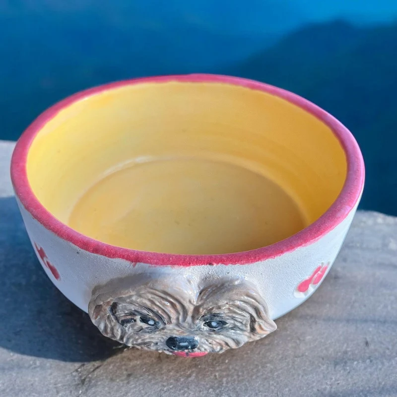 Handmade Ceramic Dog Bowl – Cockapoo Design