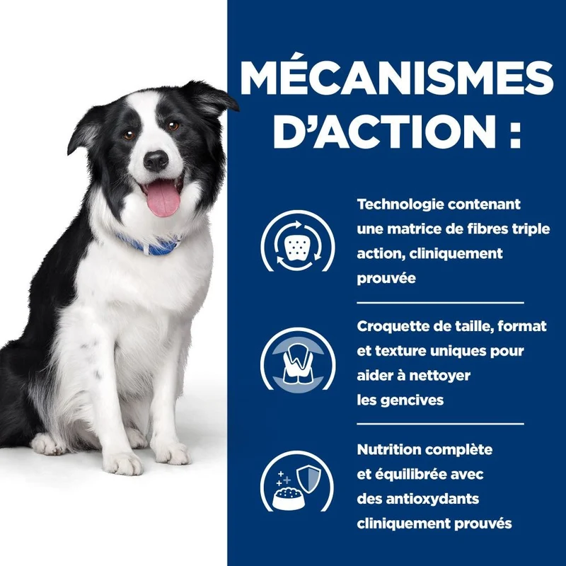 HILL'S Prescription Diet t/d Dental Care au Poulet - Croquettes pour chien
