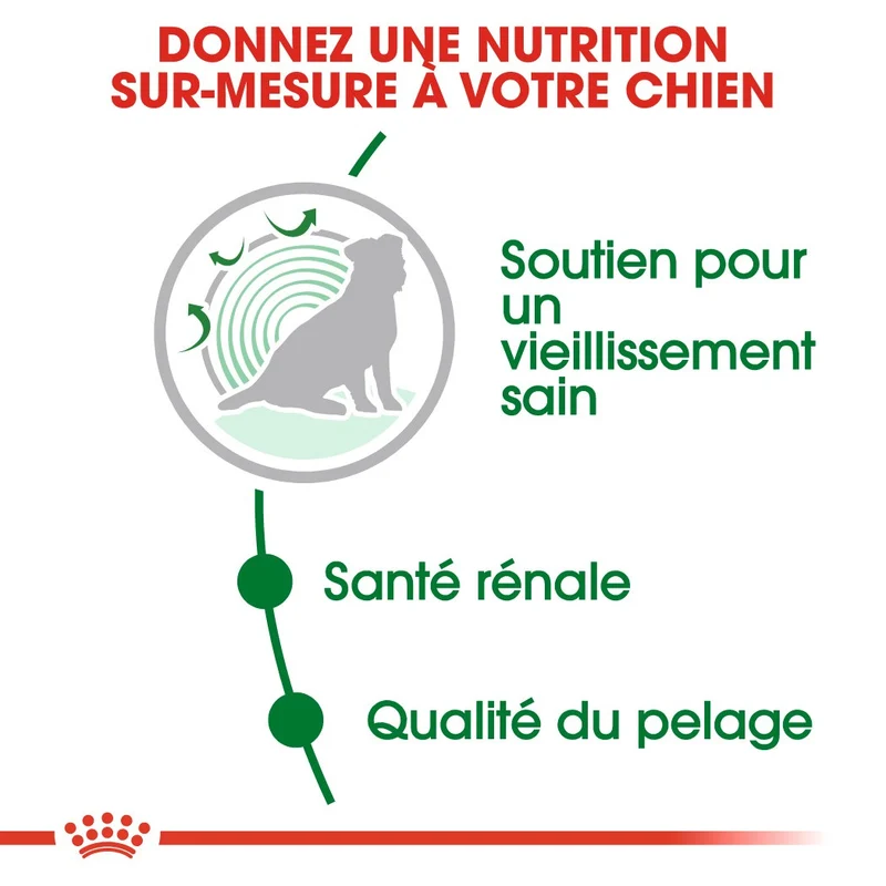 Royal Canin Mini Ageing 12+ - croquettes chien