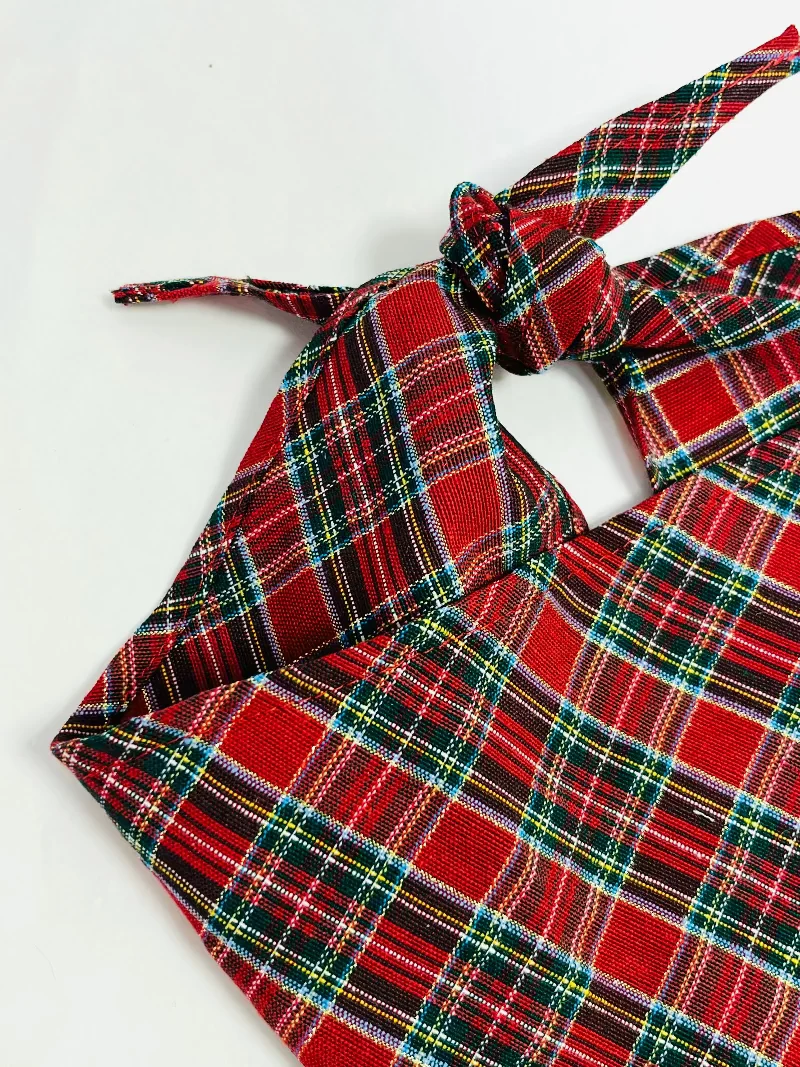 Bandana écossais pour chien – B de Bruno