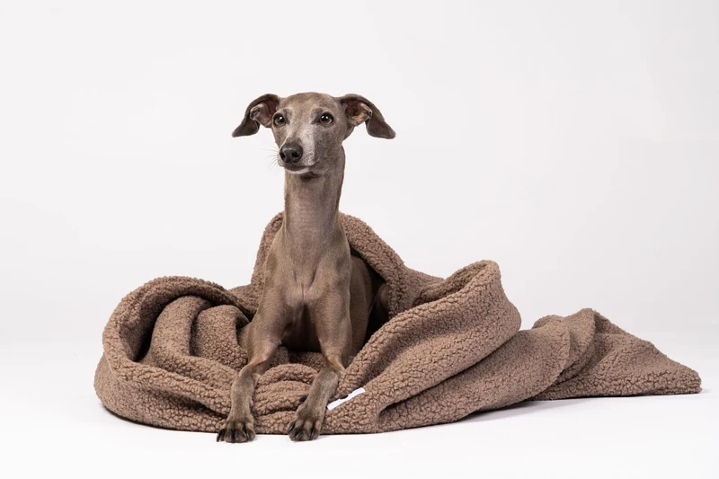 Sac de couchage moelleux pour chien – Mokka