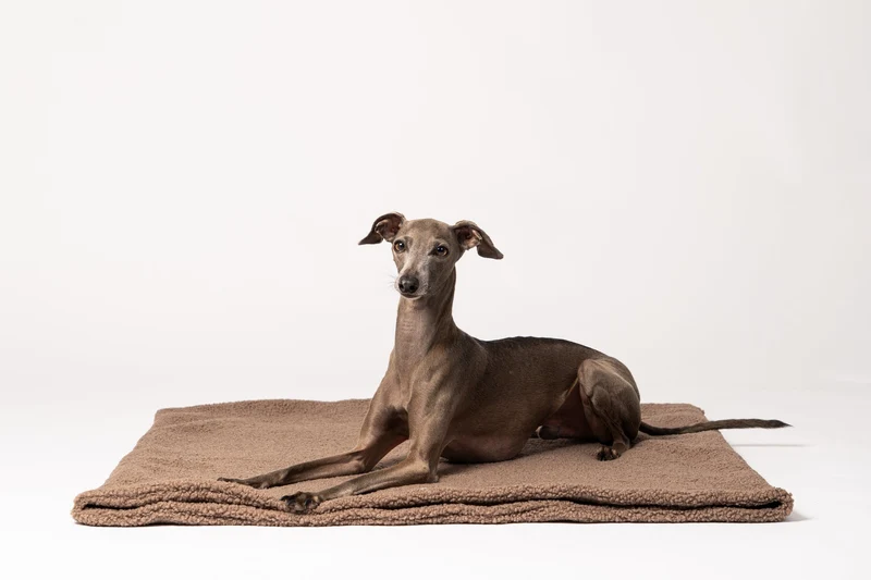 Sac de couchage moelleux pour chien – Mokka