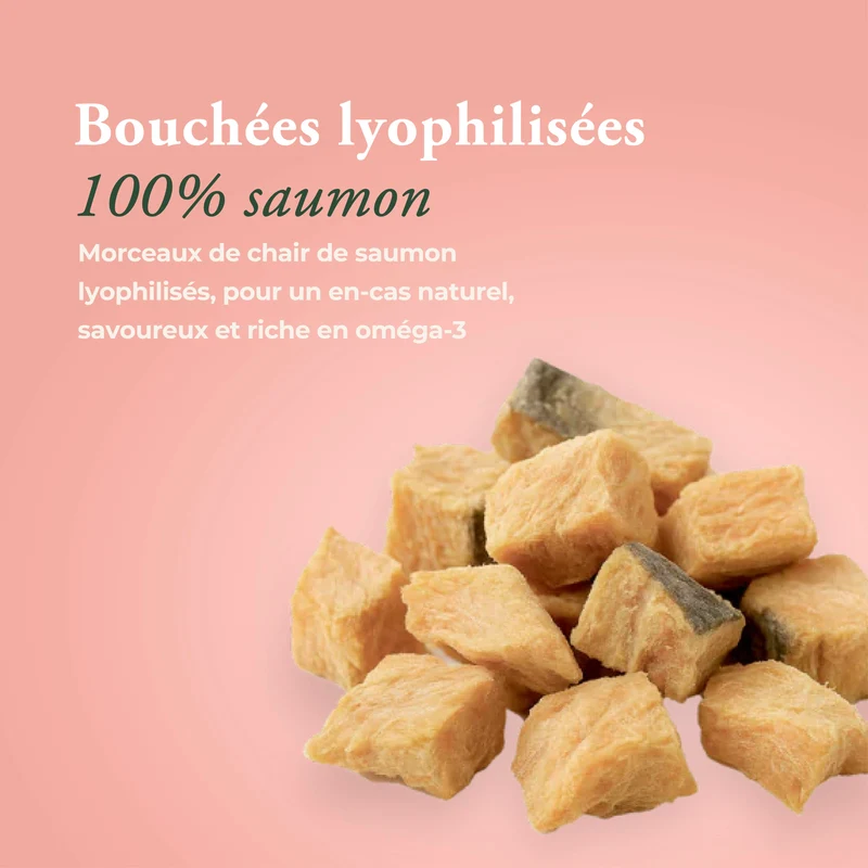 VITALITÉ (DEVIENT SUPRÊME DE SAUMON)