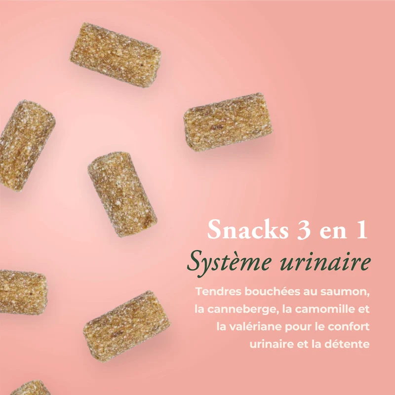SYSTÈME URINAIRE CHAT