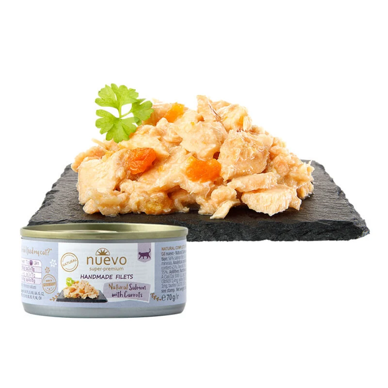 Filet de saumon et carotte