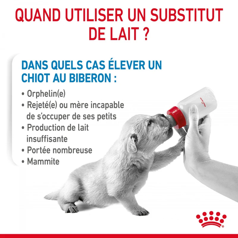 Royal Canin Babydog Milk - lait maternisé pour chiot