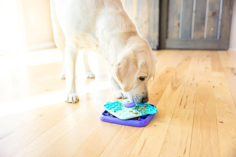 Jeu de réflexion et gamelle anti-glouton pour chien Lickin' Flip – Nina Ottosson
