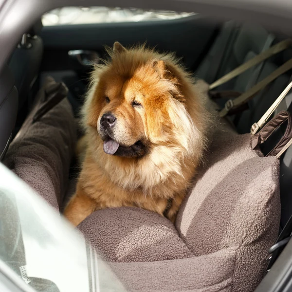 Panier de voiture pour chien Lara Car Seat 2.0 – Staey