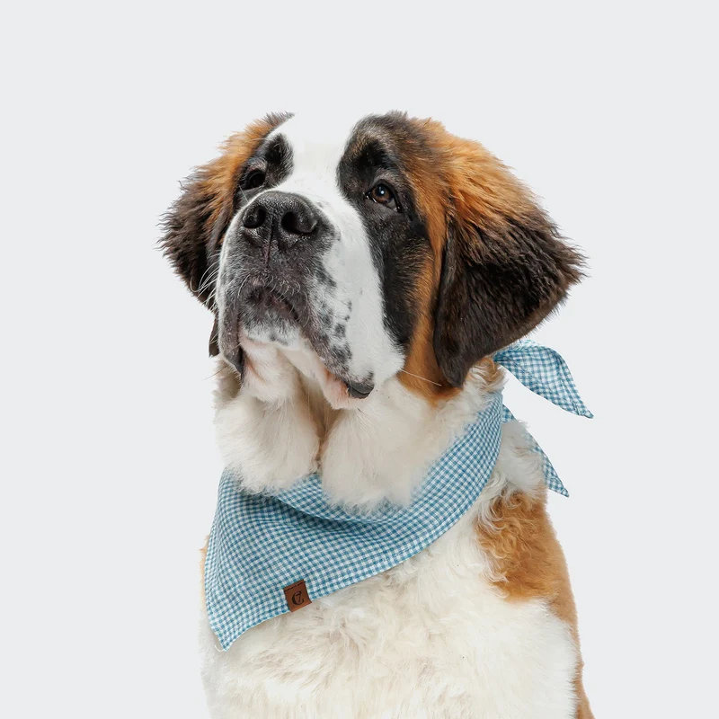 Bandana pour chien Mini Check Blue