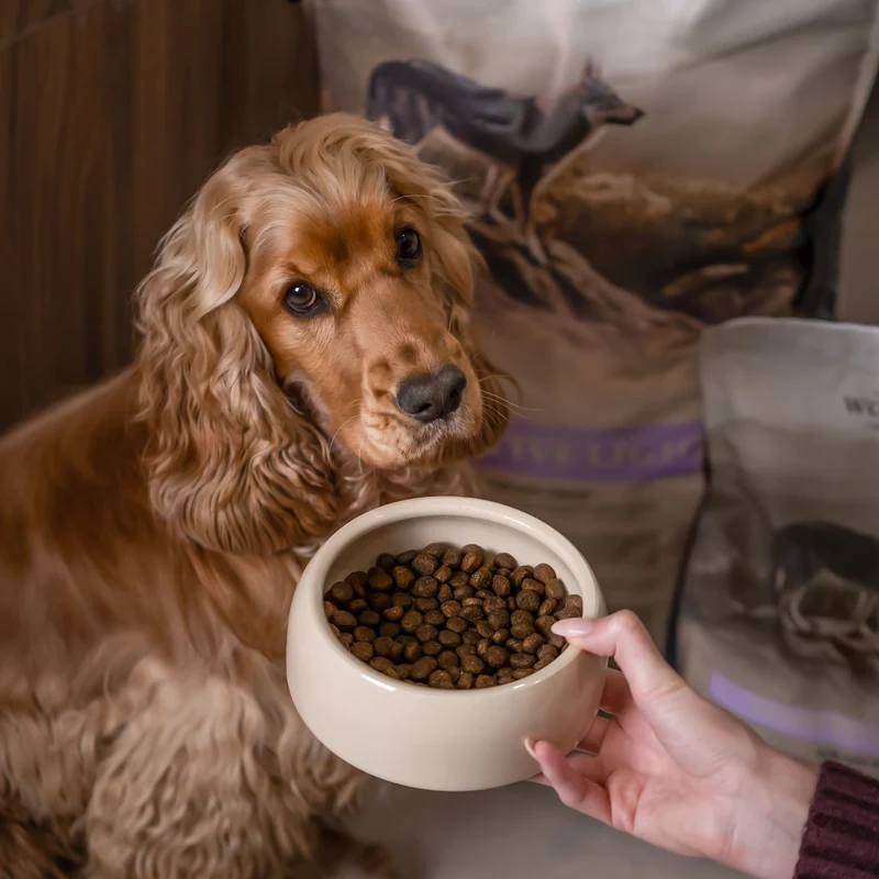 Croquettes chien Sensitive Light – Wolfood