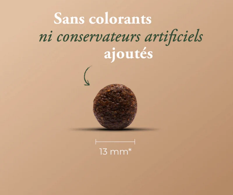 Croquettes chien Sensitive Light – Wolfood