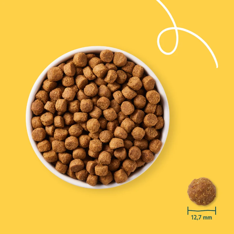 Yarrah croquettes bio chien