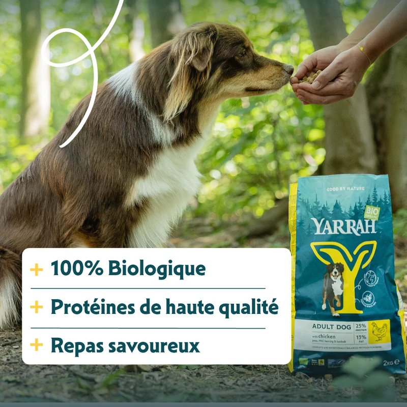 Yarrah croquettes bio chien