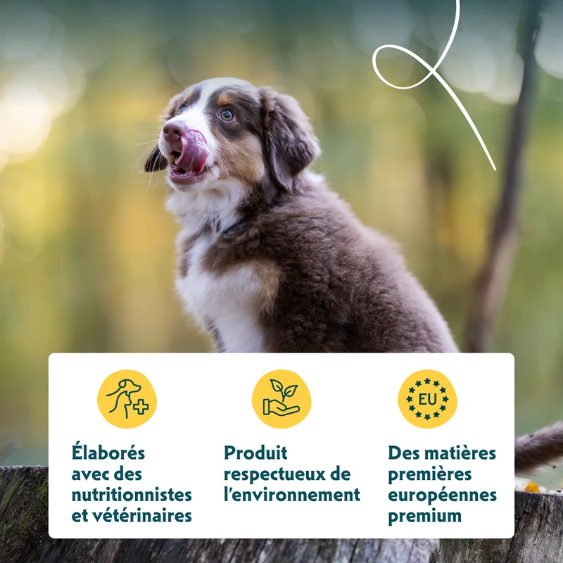 Yarrah croquettes bio pour chiot