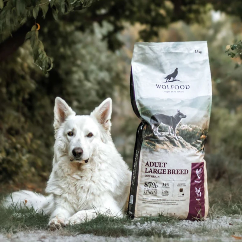 ADULT LARGE BREED