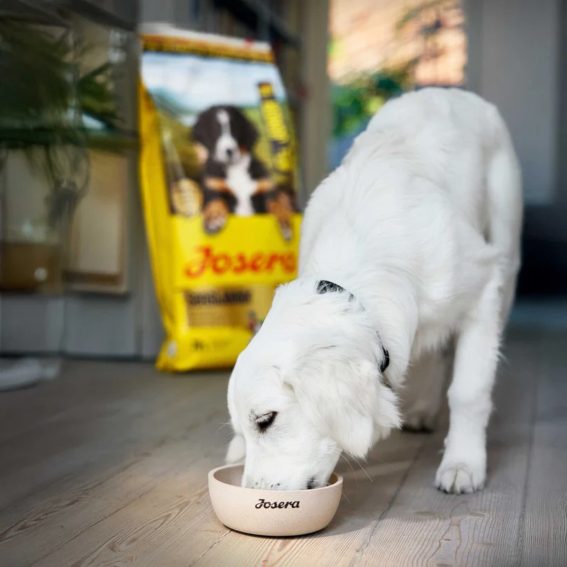 SENSI JUNIOR