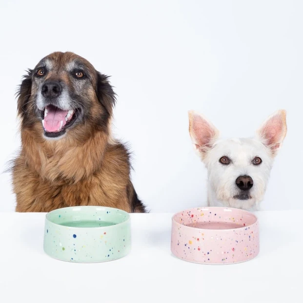 Bol Party pour chien en céramique artisanale