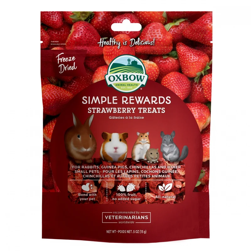Simple Rewards Strawberry Treats à la fraise rongeur