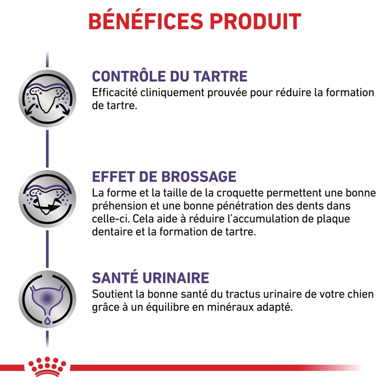 Royal Canin Veterinary Dental Small Dogs - croquettes chien