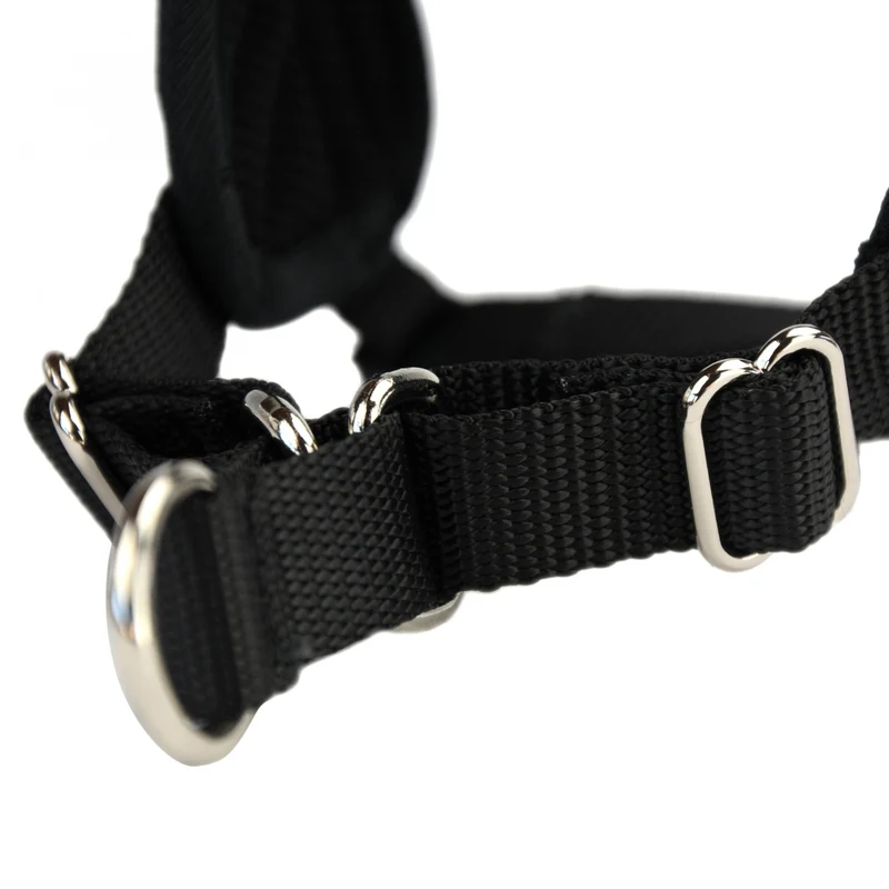 Multi Harnais Classic chien