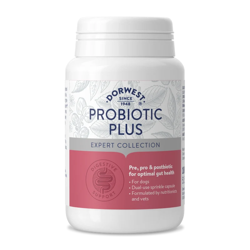 Probiotique pour chien Dorwest Probiotic Plus