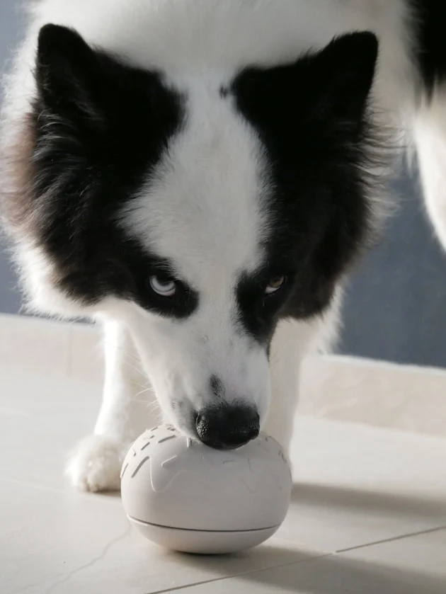 Jouet d’occupation pour chien Yoomy Donut – Inooko