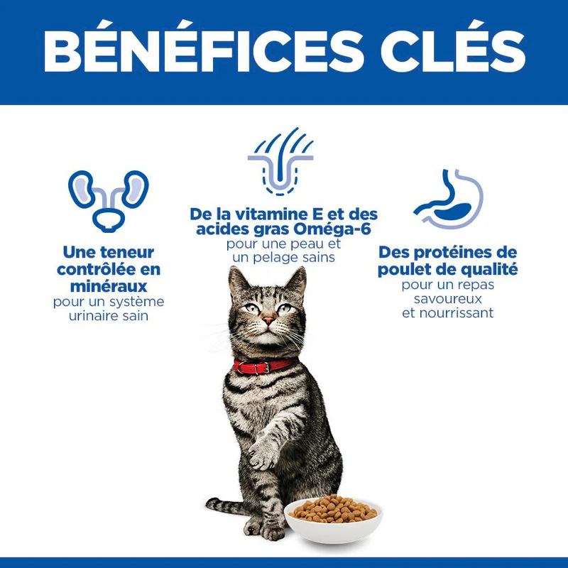 Hill's Science Plan Urinary Health au poulet - croquettes chat