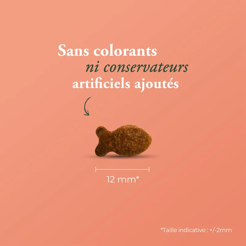 LA POISSINETTE