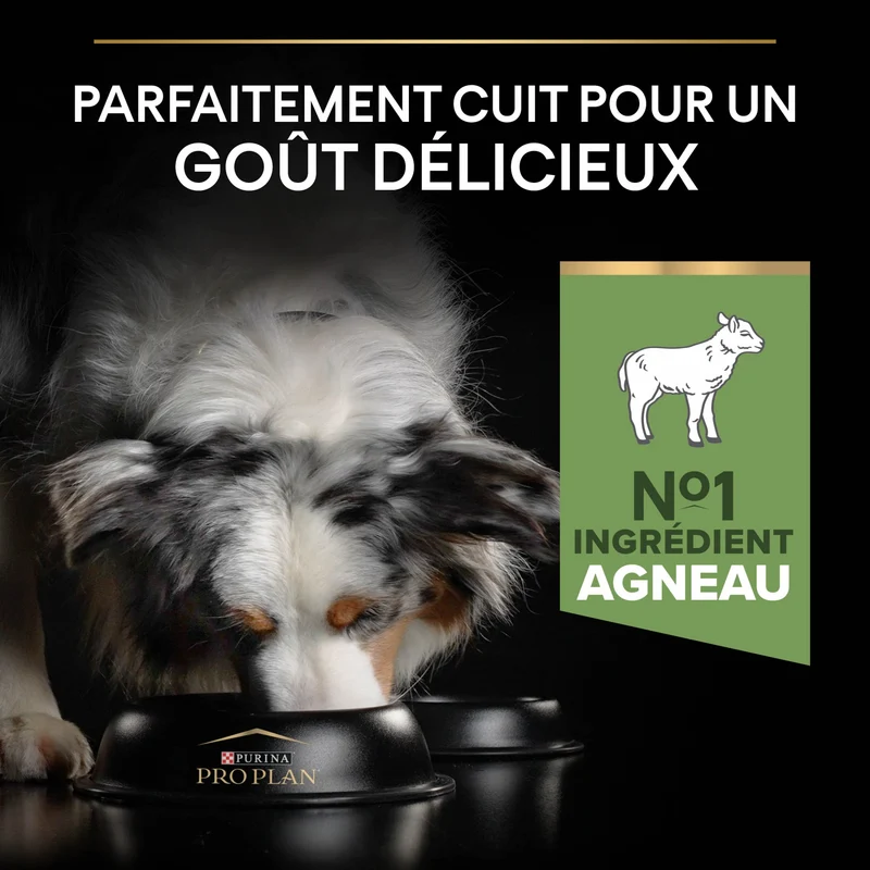 Pro Plan Sensitive Digestion Medium Adult à l'agneau - croquettes chien