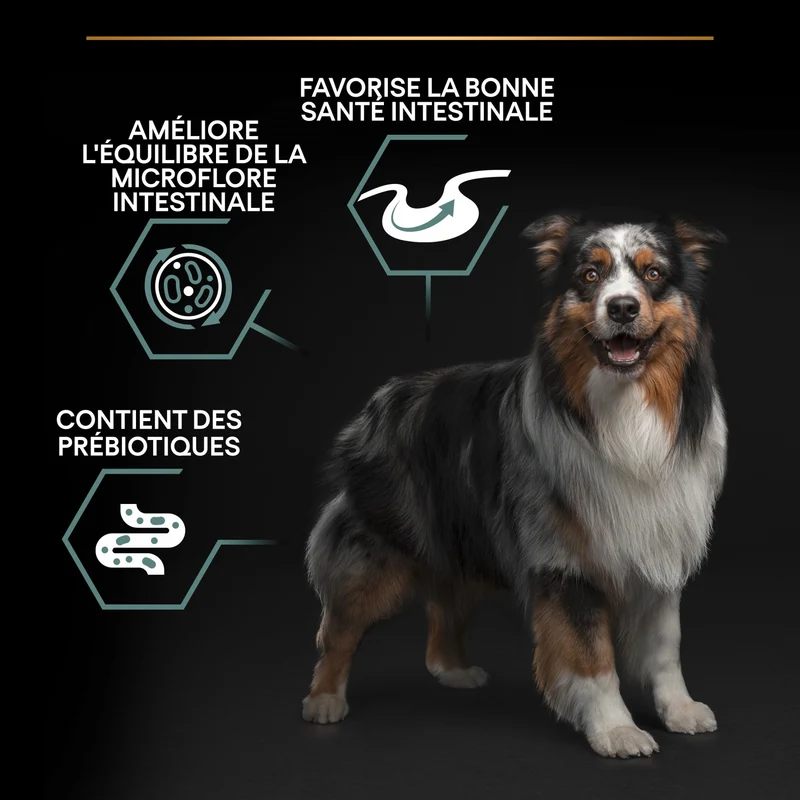 Pro Plan Sensitive Digestion Medium Adult à l'agneau - croquettes chien