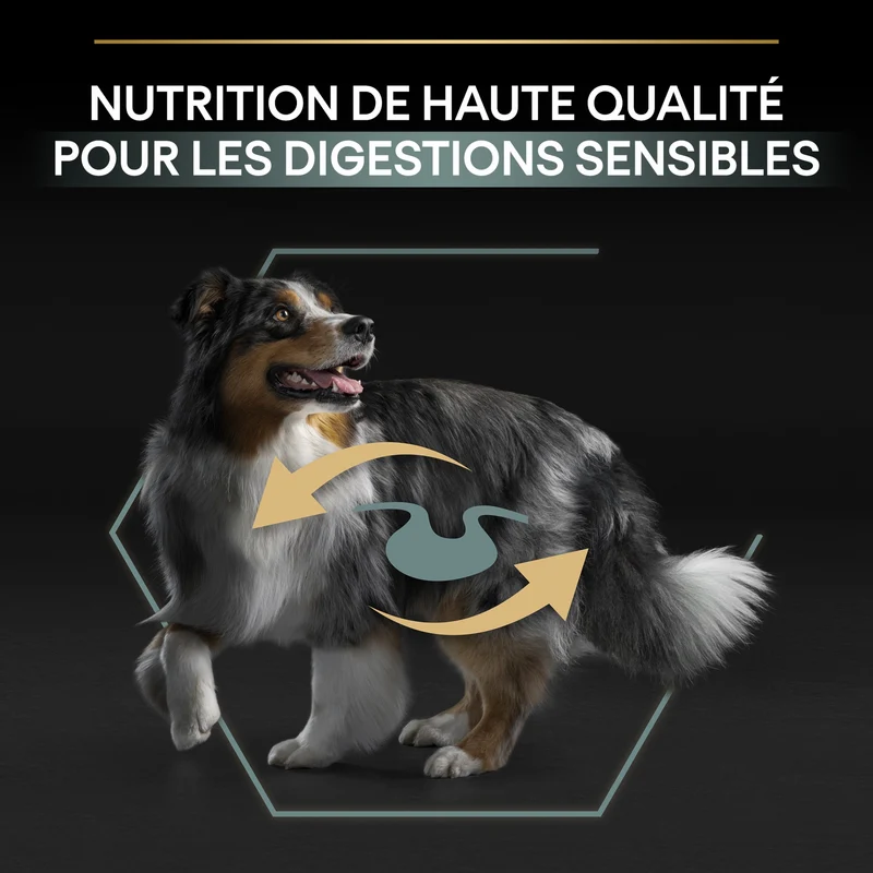 Pro Plan Sensitive Digestion Medium Adult à l'agneau - croquettes chien