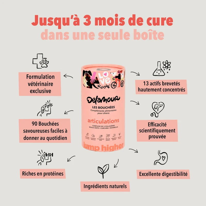Bouchées Delamour Articulations